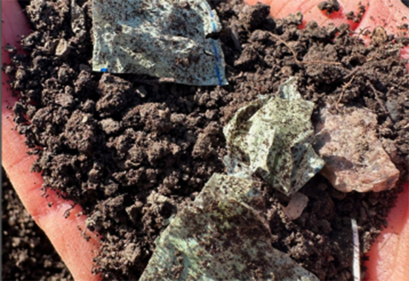 Nedbrytning av bioplaster i biogasprocesser – en studie från SLU