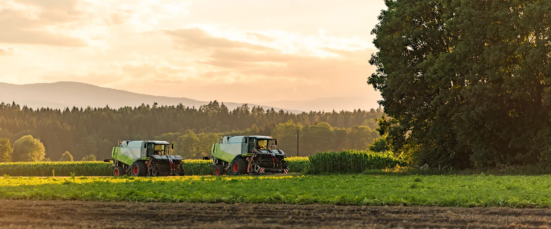 Två jordbruksmaskiner på ett fält i kvällsljus.